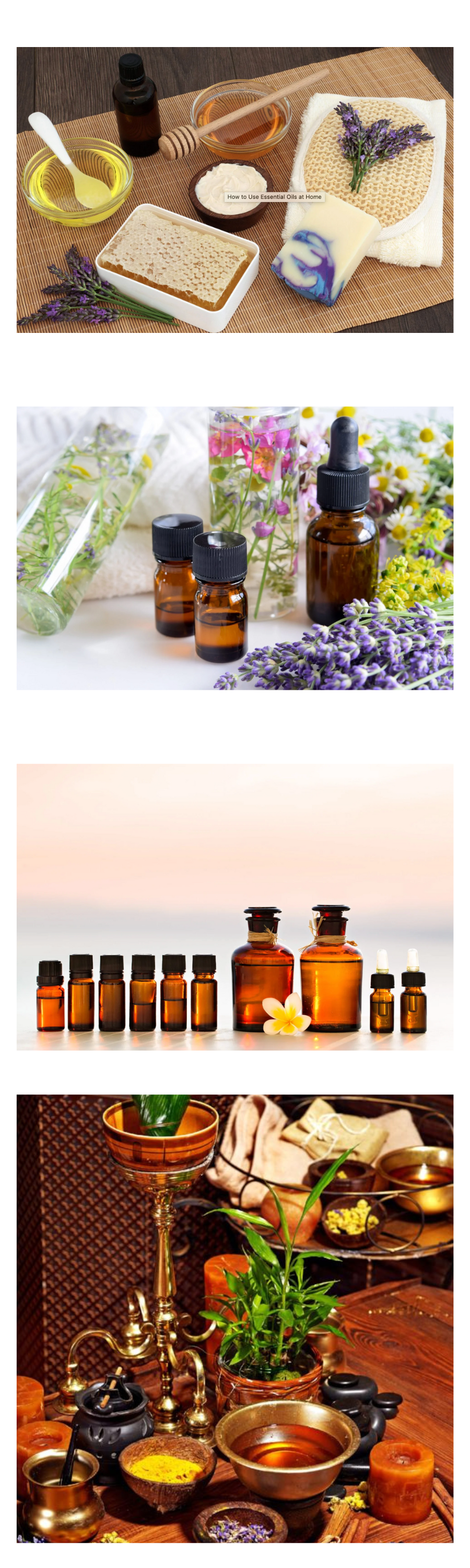 Australian College of Aromatherapy Woolloongabba